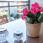 Apartamento Privilege Dalia With Rooftop Pool, Village Marina - *
