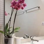 Apartamento Privilege Dalia With Rooftop Pool, Village Marina - *